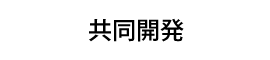共同開発