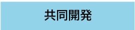 共同開発